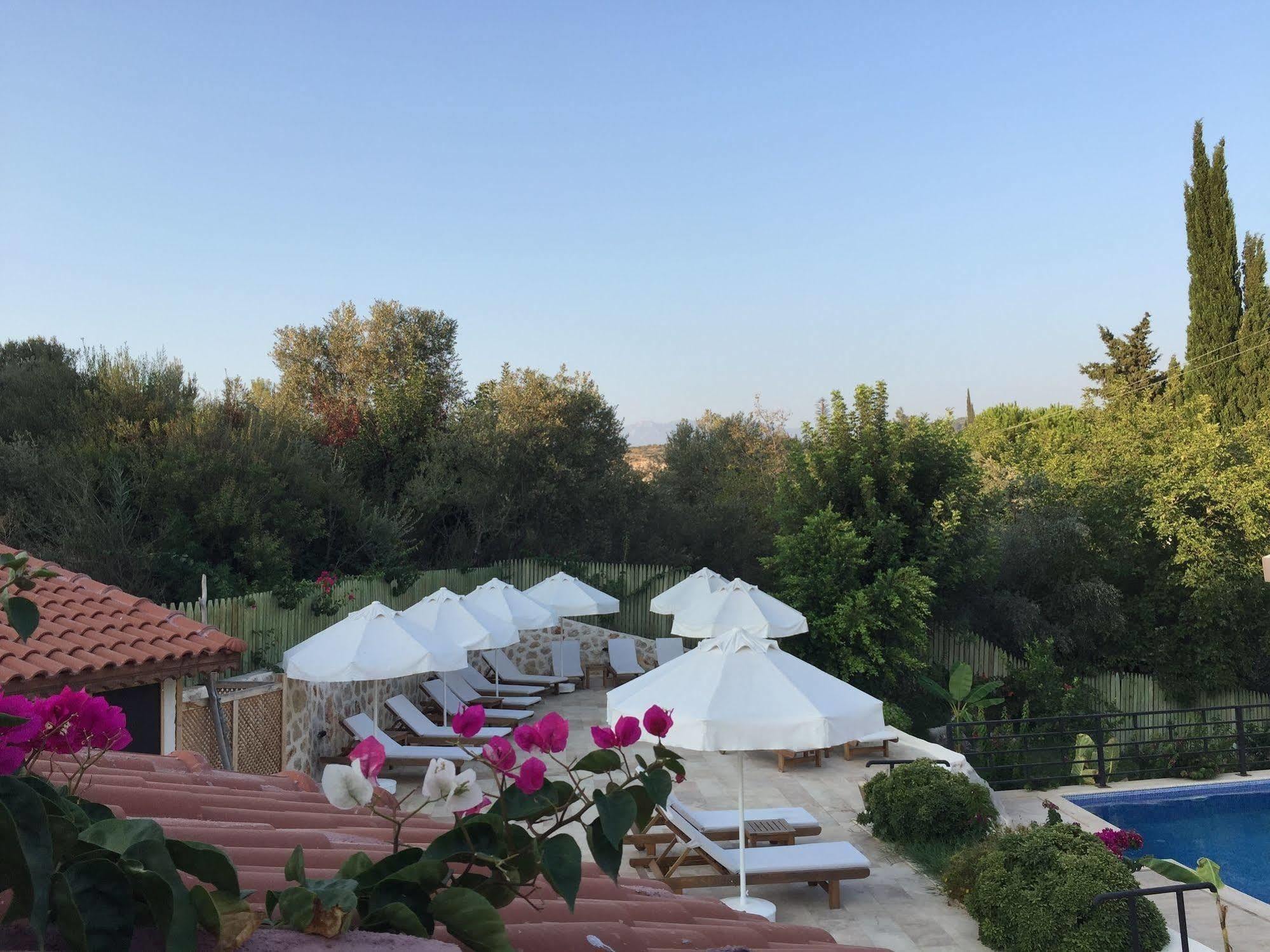 Dardanos Hotel Gelemis Экстерьер фото